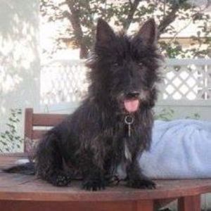 Meet your Posher, Mia